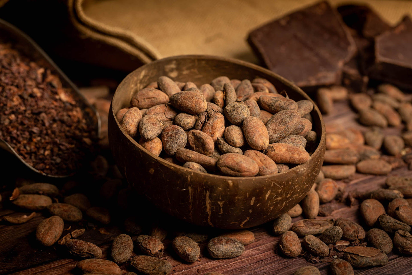 ROKAO | Raw Cocoa Beans Bulk